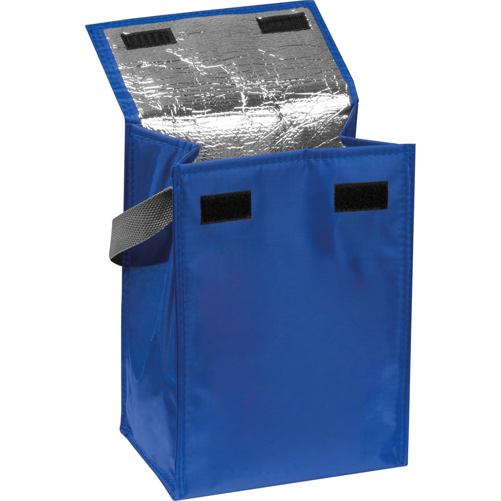 Kühltasche