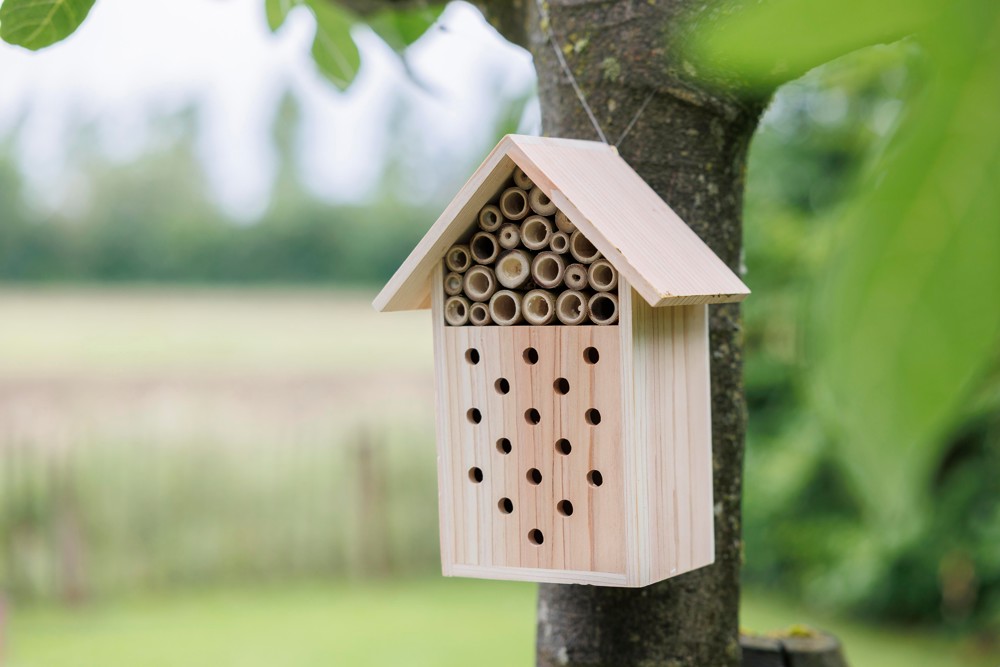 Bienenhaus Fahim | Recyceltes Holz